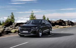 Audi Q8 55 TFSI e quattro  