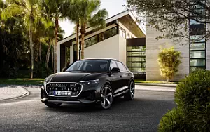 Audi Q8 55 TFSI e quattro  